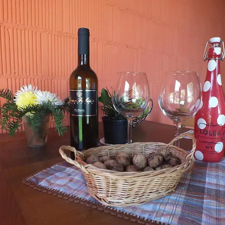 Puerta Del Castro Apartment Coana