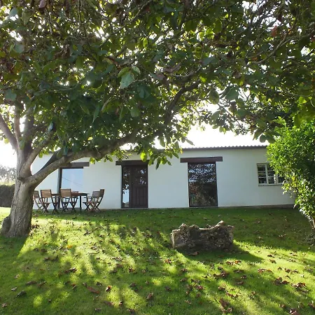 Puerta Del Castro Apartment Coana